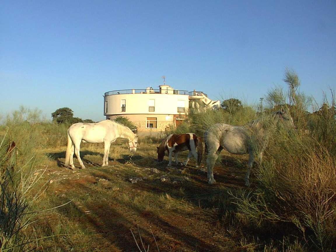 רוס Hotel Paraje La Lambra מראה חיצוני תמונה